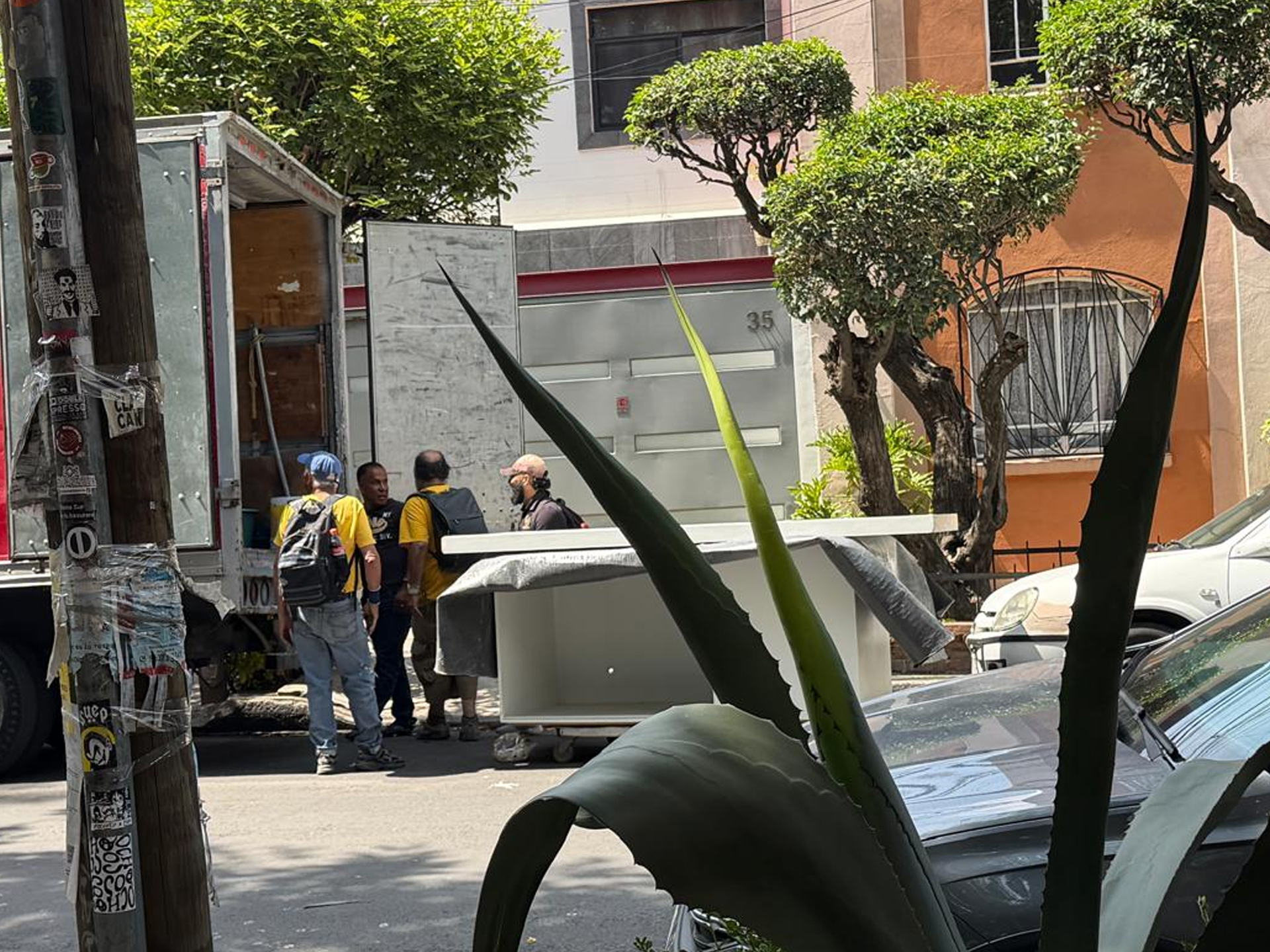 Fotografía del artículo
